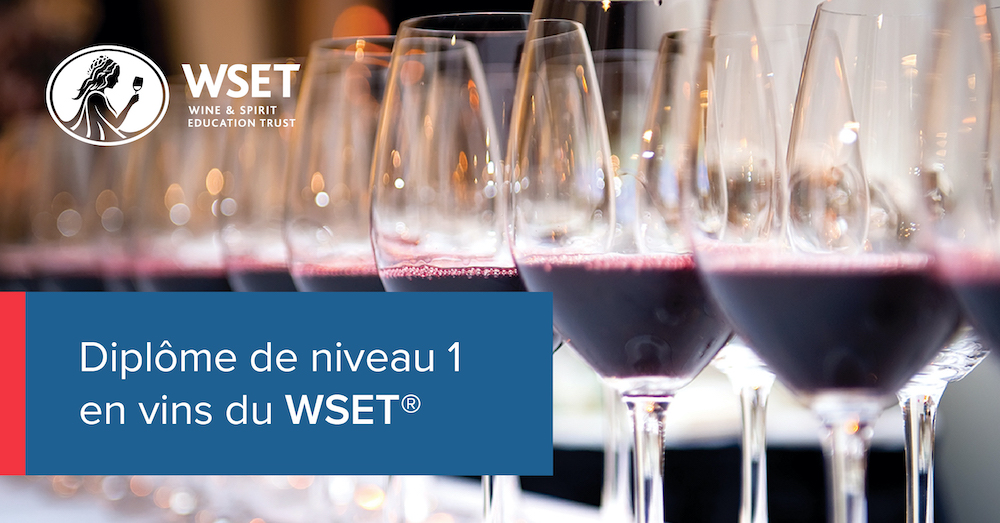 Diplôme de niveau 1 en vins du WSET®